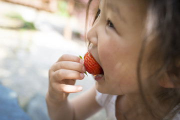 苺を食べる女の子