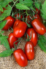 Black and red cherry tomatoes
