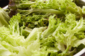 Fresh lettuce leaves in a bowl