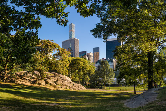 New York City, Central Park in summer light with Midtown Manhattan skyscrapers