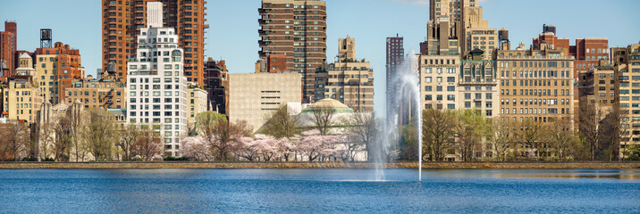 Spring at Central Park Reservoir on Upper East Side,  Manhattan, New York CIty. Yoshino cherry trees blooming along the running track with Jacqueline Kennedy Onassis Reservoir and fountain