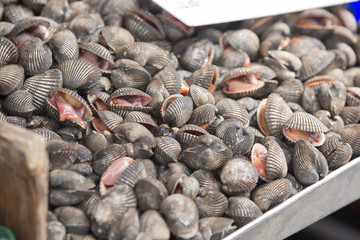 Live shellfish