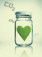 Leaf heart in the glass jar protect carbon dioxide