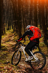 Obraz premium Cyclist Riding the Bike on a Trail in Summer Forest