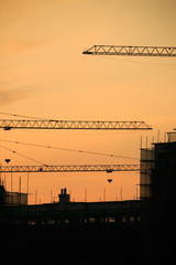 Cranes silhouette at sunset