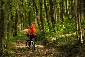 Fototapeta premium Cyclist Riding the Bike on a Trail in Summer Forest