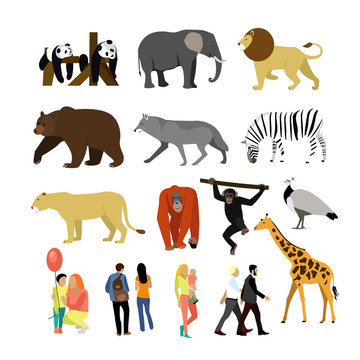 Zoo animals isolated on white background. Vector illustration. Wild african animals.