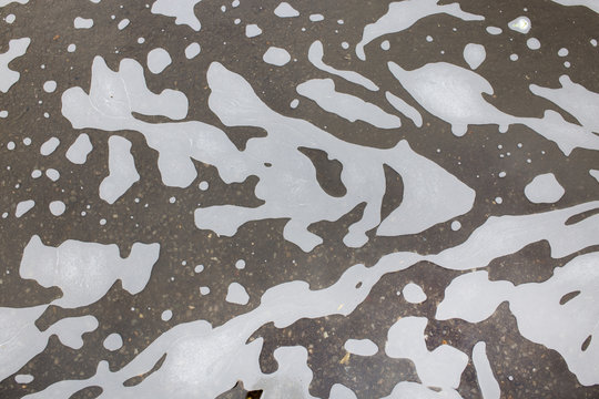 puddle with foam and dirty water. background of dirty water with spots like a camouflage pattern