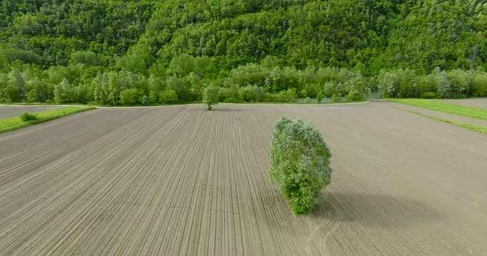 Aerial 4k - Campi coltivati