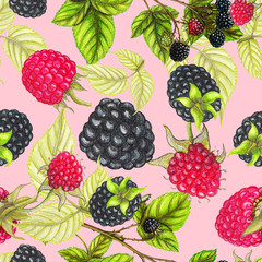 Seamless pattern of blackberries and raspberries