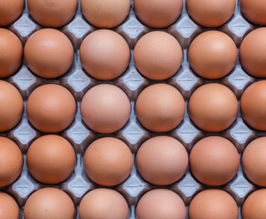 Eggs in cardboard carton. Abstract background.