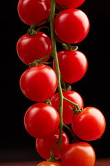 cherry tomatoes on a black background