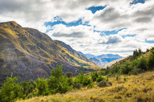 Queenstown Hill Recreation Reserve, New Zealand