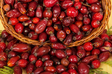 Dried rose hips in a basket