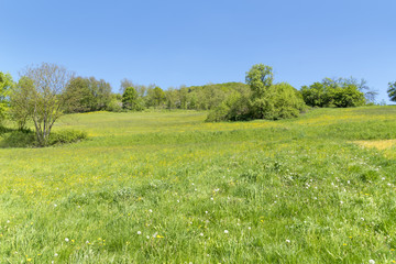 rural springtime scenery