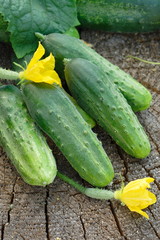 Cucumbers on wooden background