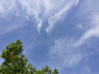 Obraz premium 하늘