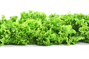 Fototapeta na wymiar Fresh lettuce isolated on white