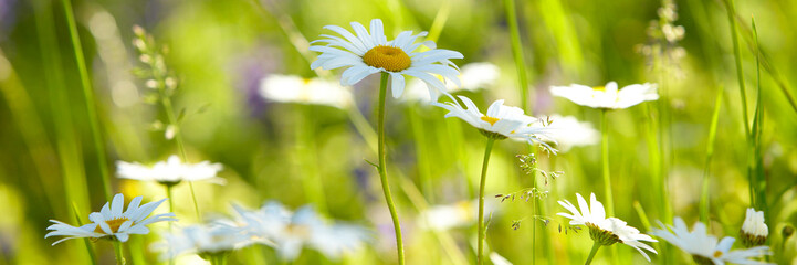 Frühling