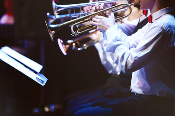 Concert on a stage