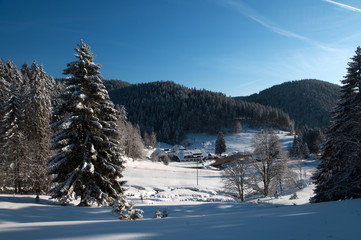 Fototapeta premium Winter bei Aitern-Muten (Schwarzwald)