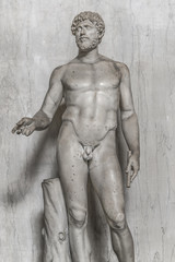 Fototapeta na wymiar Statue of a nobel roman man, Rome, Italy