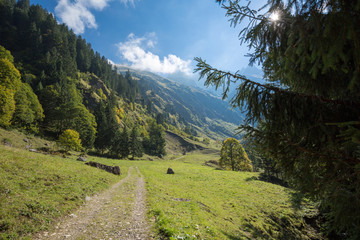 Fototapeta na wymiar Awesome Panorama from Hiking trail on Alps / Bavaria