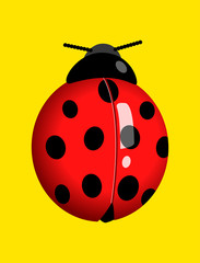 Graphic illustration of a lady bug