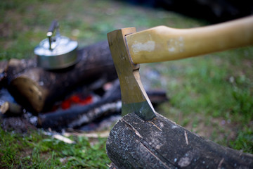 Camping in the woods on the banks of the river.