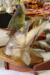 pike head trophy objects taxidermy