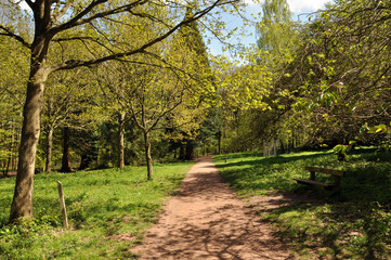 Springtime paths in the forests of Herefordshire, England..