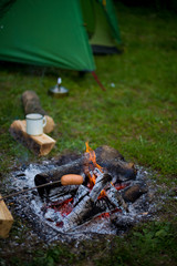 Delicious german sausages on the barbecue grill.