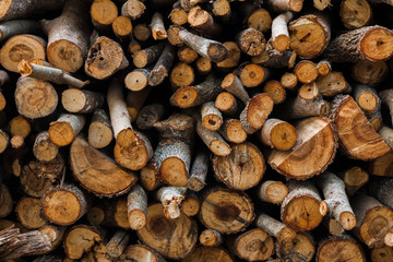 Background of saw timber