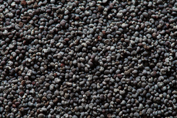 poppy seed macro