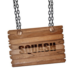 squash sign background, 3D rendering, wooden board on a grunge c
