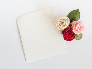 Roses and card on white background. 