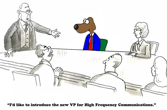 Business cartoon about the vp for high frequency communications.