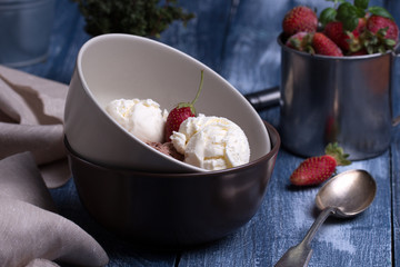 Vanilla and chocolate Ice cream in the shape of a ball, with fresh berries. 
