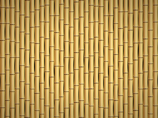 Bamboo pattern