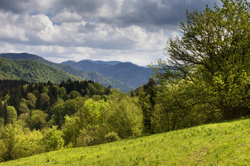 Landscape of green hills of mountains