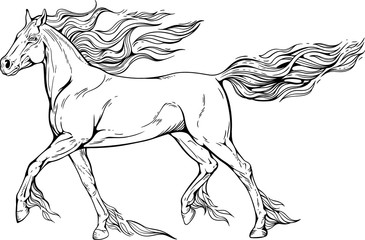 horse with mane and tail of flames of-fire.