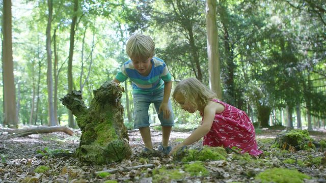  Happy little boy & girl playing in the woods & looking for insects