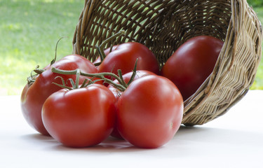 Tomatoes Spill Out of a Basket