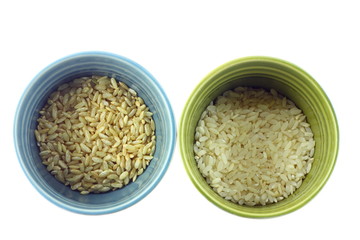 Rice