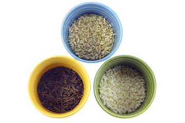 Rice