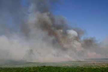 Obraz premium Prairie Fire