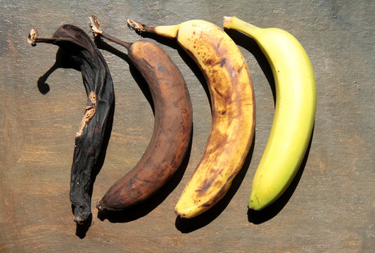 Reifegrade der Dessertbananen