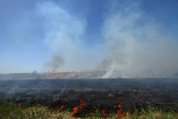 Fototapeta premium Prairie Fire