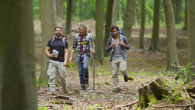 Group of male friends hiking in the woods holding map and trying to find their way. 