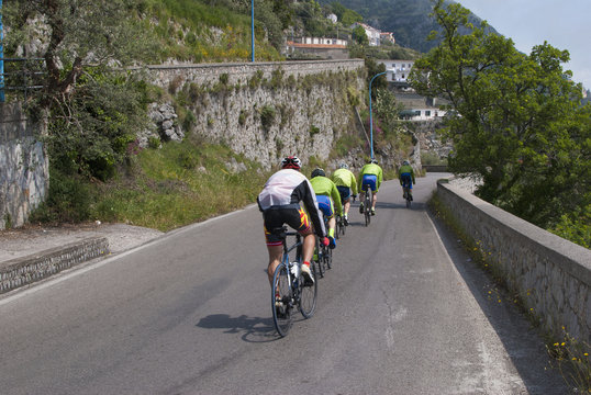 Group of cyclists on the road
